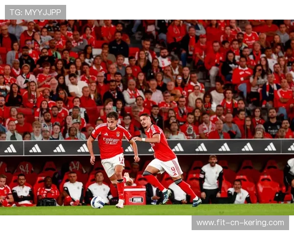 球场“铁壁防线”揭秘：最难攻破的欧洲后防